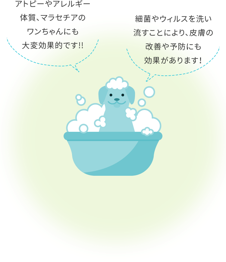 アトピーやアレルギー体質、マラセチアのワンちゃんにも大変効果的です!! 細菌やウィルスを洗い流すことにより、皮膚の改善や予防にも効果があります！