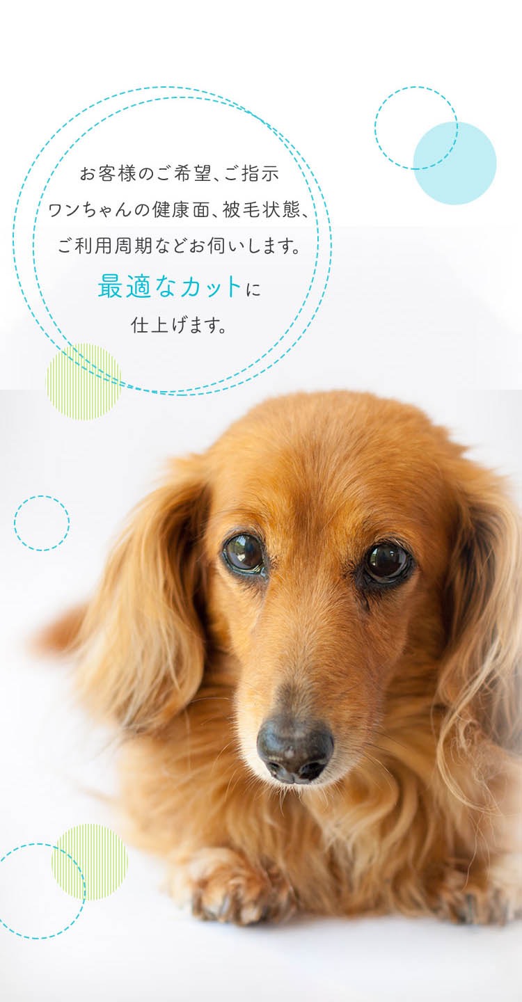 お客様のご希望、ご指示ワンちゃんの健康面、被毛状態、ご利用周期などお伺いします。最適なカットに仕上げます。